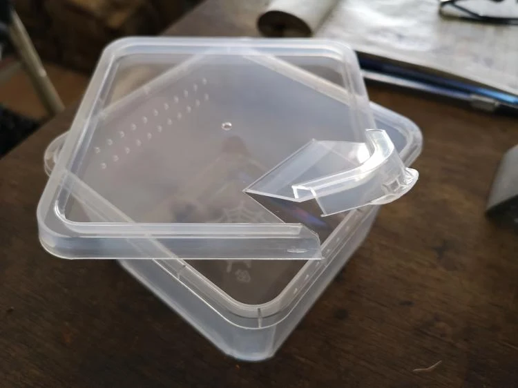 Title 5, Insect feeding box provides safe and efficient ...