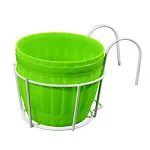 Whitegreen
