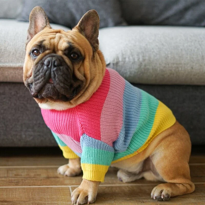 Title 2, Rainbow Dog Sweater Warm and Colorful Apparel f...