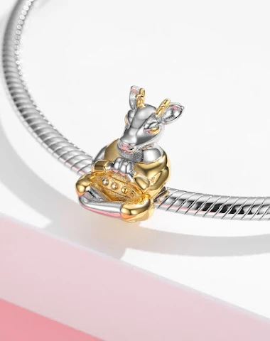 Image product - 1