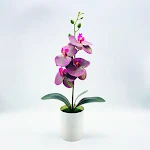 miniatures image - 6