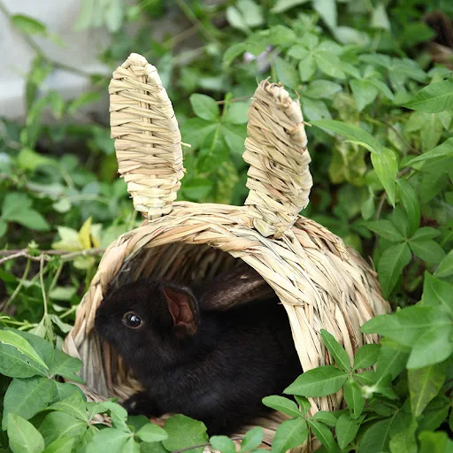 Title 9, Handmade straw rabbit nest provides a natural, ...