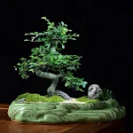 miniatures image - 6