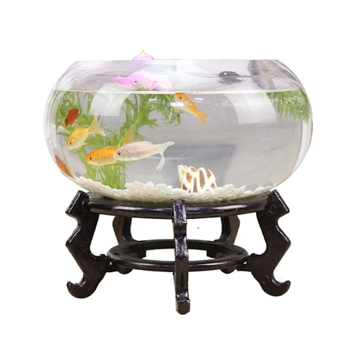 HONGYI round cylinder Round goldfish tank Ecological creativity Glass fish tank Large turtle tank Hydroponic tank vase — photo 2