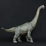 As shown