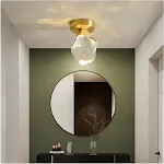 110 To 220V White Light