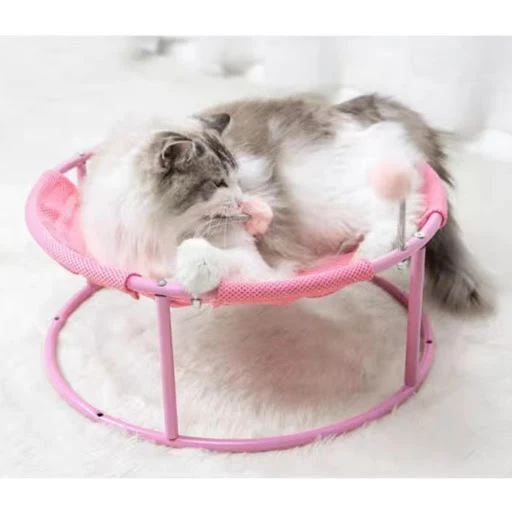 Title 6, Cat Nest Universal Ground Moisture Proof Conven...