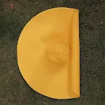 E bright yellow
