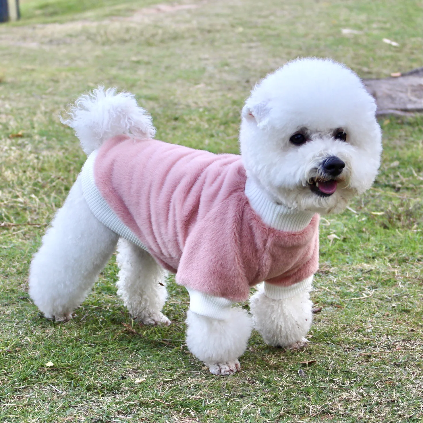 product image - 1