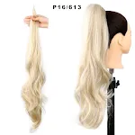 P16 613