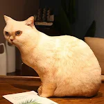 Travesseiro de pelúcia criativo e fofo de gatinho. Macio e perfeito para abraçar, ideal para crianças e amantes de gatos. — foto 18