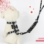 Creative Floral and Japanese Style Cat Leash for stylish and safe walks. Give your cat a touch of elegance and comfort d — photo 1