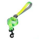 Leash