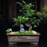 miniatures image - 11