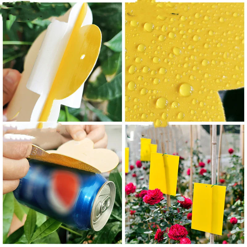 product image - 2