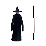 The wizard to the ground