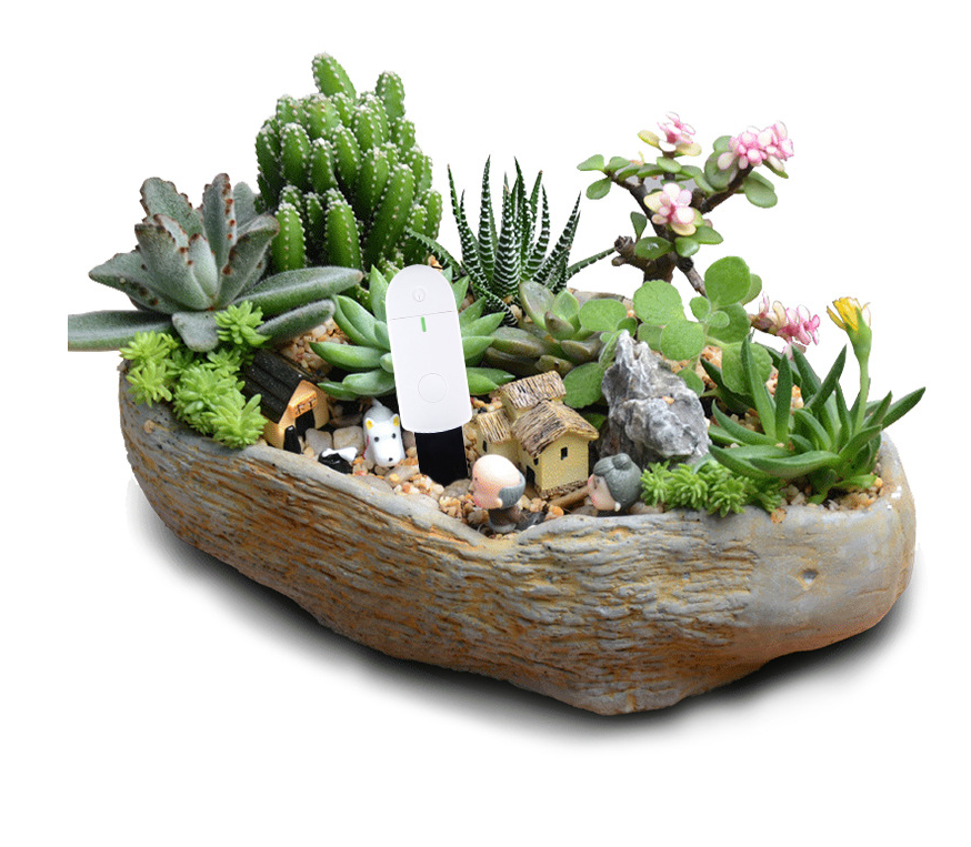 product image - 2