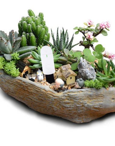 Image product - 2