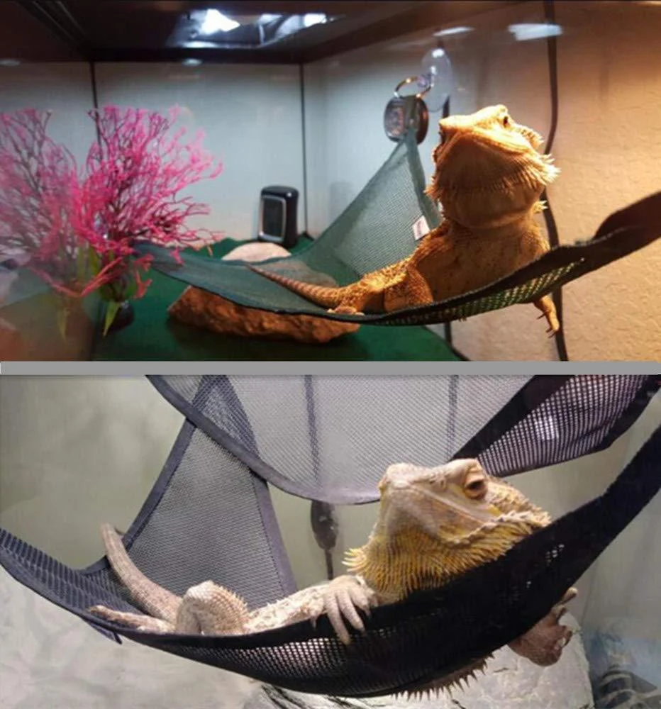 Title 5, Reptile Hammock for Lizards and Snakes provides...