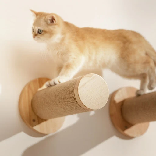 Cat Climbing Shelf Wall Mounted Cat Tree Four Step Stair Indoor Wood Scratching Post for Cat Wall Climbing Furniture Cat — photo 6