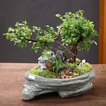 miniatures image - 1
