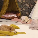 miniatures image - 23