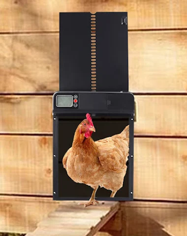 Image product - 0