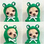 White Carrot Fleece Hooded Sweater for Puppy Dog Teddy Cat. Soft pet supplies, warm and cozy pet clothing, perfect for y — photo 5