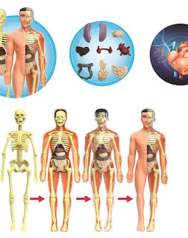 Image product - 1