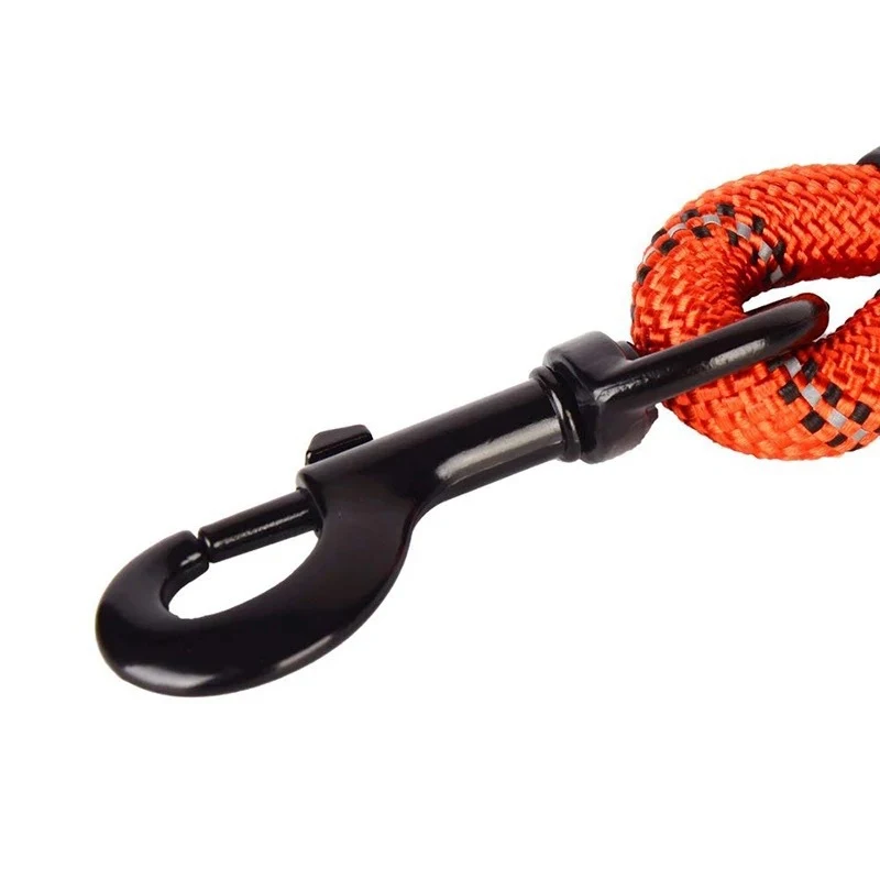 Title 6, Small Medium Sized Dog Luminous Leash Chain Pup...