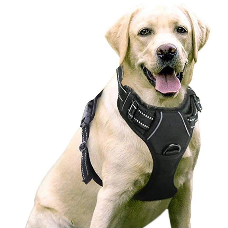 product image - 10
