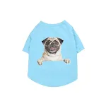 Blue Pug