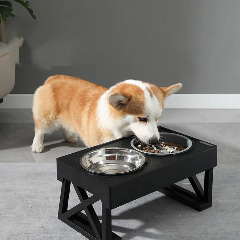 Title 8, Elevated Dog Bowls 2 Adjustable Heights Raised ...