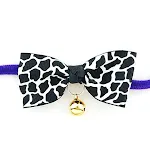 Black Giraffe