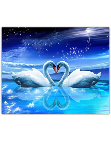 Image product - 1