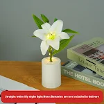 miniatures image - 8