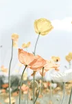 miniatures image - 9