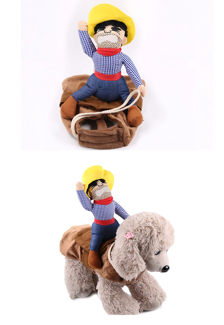 Title 4, Dog Clothes — Dress your best friend in style a...