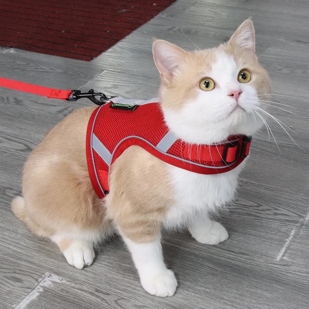 product image - 11