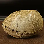 miniatures image - 2