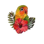 Rose Parrot A4