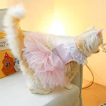 Lace Cat Clothes, Elegant and Comfortable. Dress your cat in style with these charming outfits, perfect for any occasion — photo 15