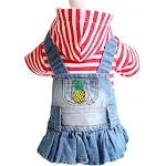 Spring and Autumn Winter Teddy Puppy Dog Plaid Embroidered Denim Skirt, a comfortable and adorable denim skirt for your — photo 8