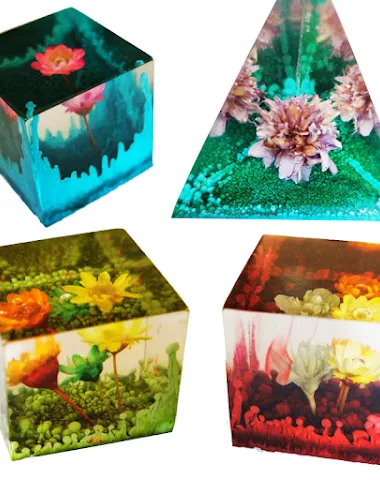 Image product - 1