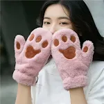 Embroidered Pink