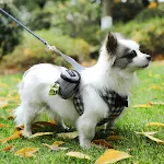 Portable Dog Training Treat Bag Outdoor Pet Dog Treat Pouch Puppy Snack Reward Waist Bag Dog Poop Bag Dog Carriers Bags — photo 2