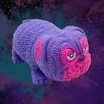 Lara DogSymphony Purple