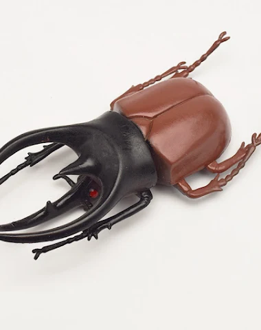 Image product - 1