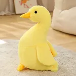 30CM