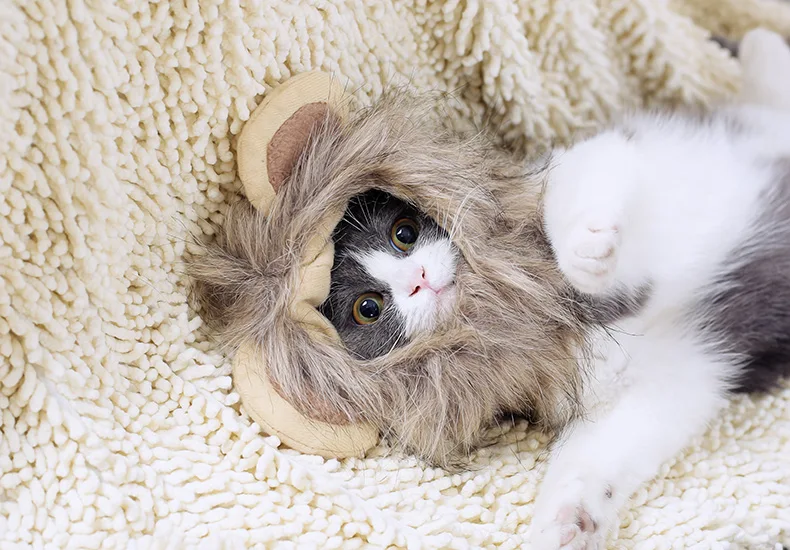 Title 7, Lion headgear cat hat cute transformation decor...